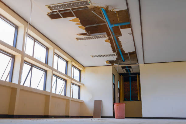 Best Commercial water damage restoration  in Cottonwood, AZ