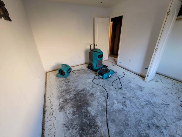 Best Flooded house restoration  in Cottonwood, AZ