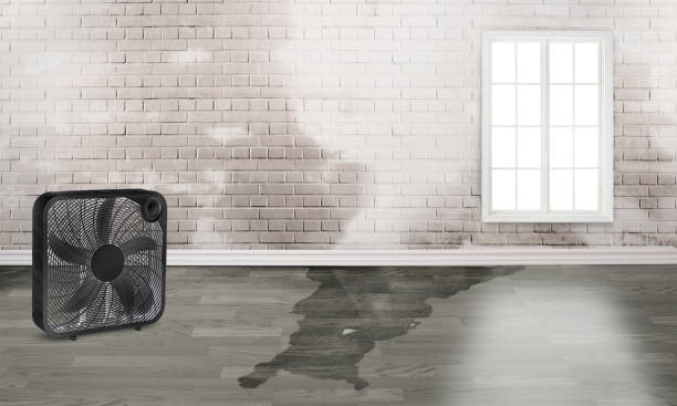 Best Water damage restoration specialists  in Cottonwood, AZ