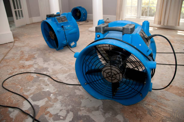 Best Carpet water damage restoration  in Cottonwood, AZ