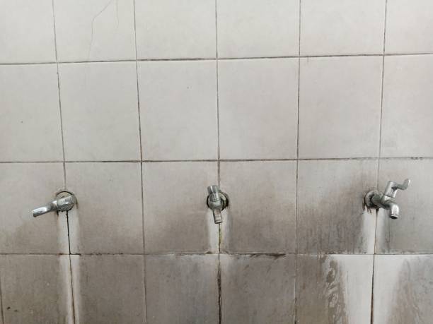 Best Mold removal after water damage  in Cottonwood, AZ