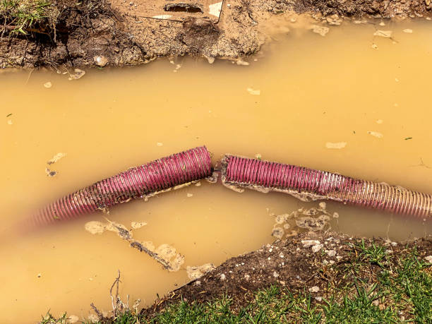 Best Local water damage restoration  in Cottonwood, AZ